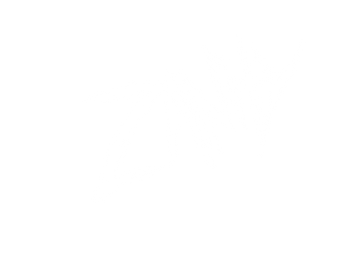 zanity
